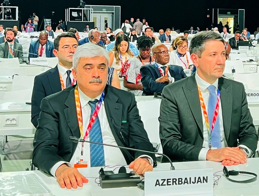 Azerbaijan attending 4th UN Int'l Conference on Financing for Development in Spain (PHOTO)