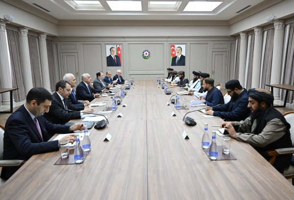 Azerbaijan, Afghanistan explore economic collaboration opportunities (PHOTO)