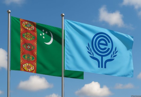 Turkmenistan and ECO: unlocking new horizons in infrastructure and sustainable energy