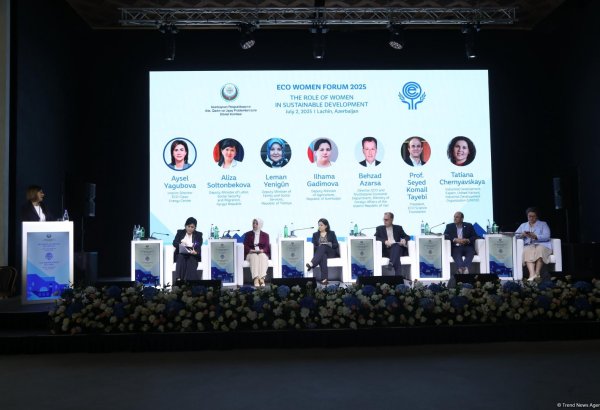 Azerbaijan's Lachin stages panel session on women's role in sustainable dev't (PHOTO)