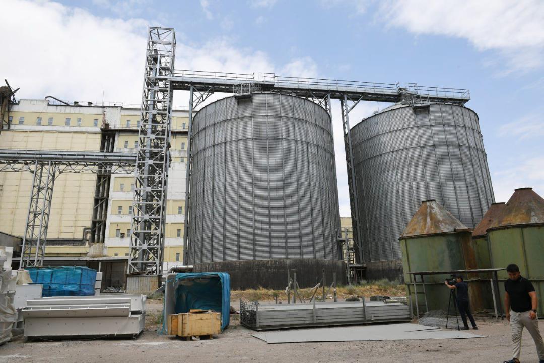 Kazakhstan boosts grain processing with new cluster in Almaty region