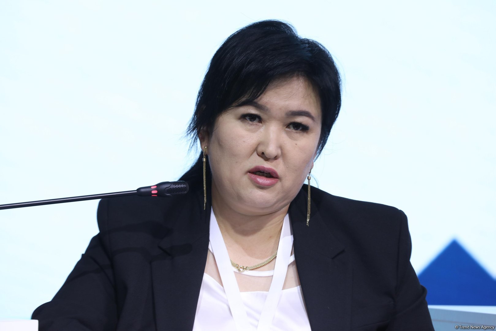 Azerbaijan's Lachin stages panel session on women's role in sustainable dev't (PHOTO)