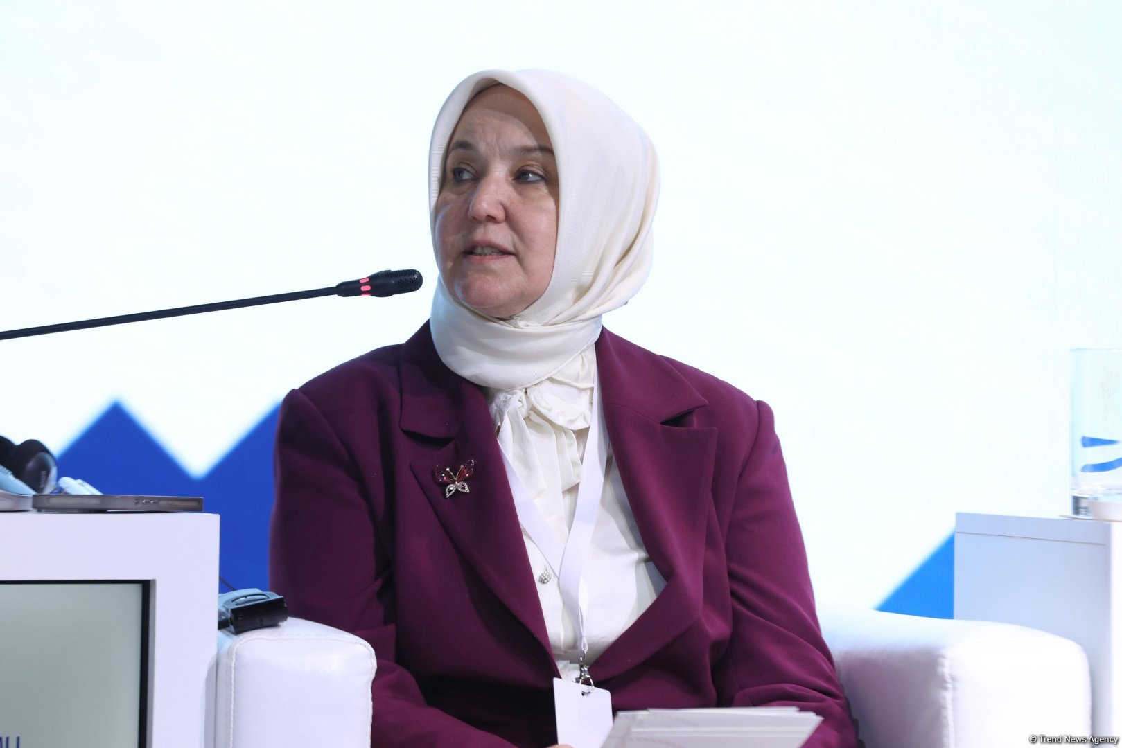 Azerbaijan's Lachin stages panel session on women's role in sustainable dev't (PHOTO)