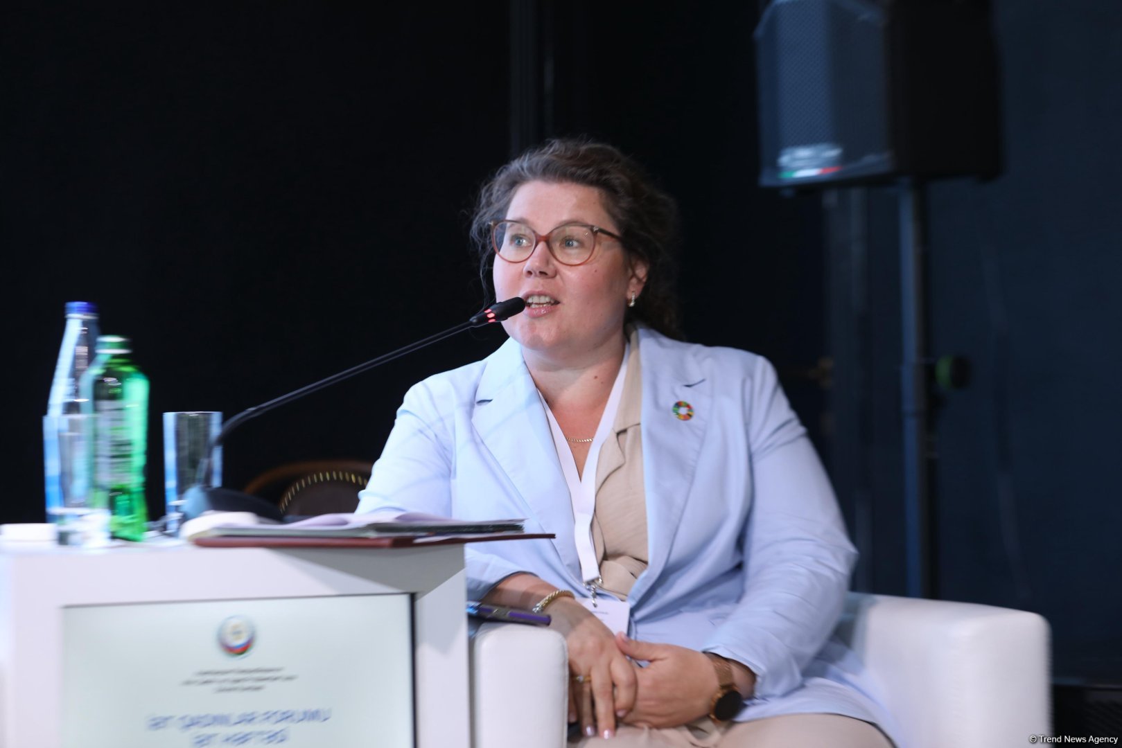 Azerbaijan's Lachin stages panel session on women's role in sustainable dev't (PHOTO)