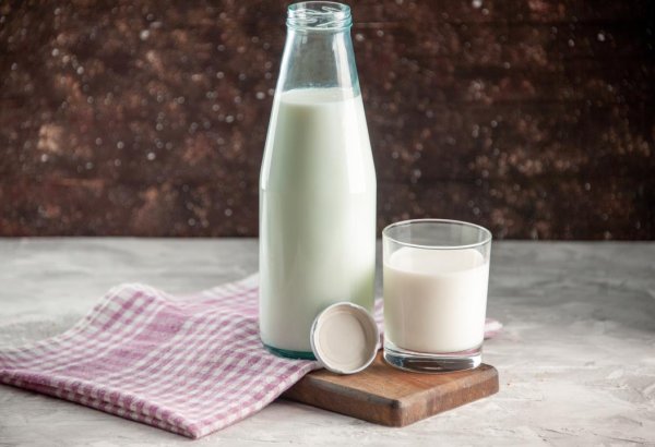 Kazakhstan launches first industrial production of hypoallergenic milk