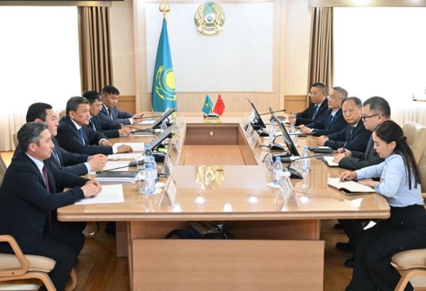 Kazakhstan taps Chinese expertise for advanced grain and feed mill projects