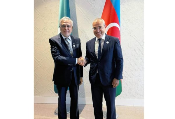Azerbaijan and Pakistan discuss active promotion of mutual investments