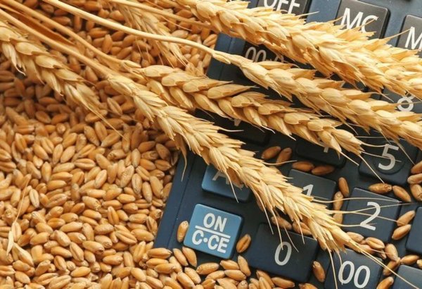 Kazakhstan unveils new funding to back farmers via forward grain purchases