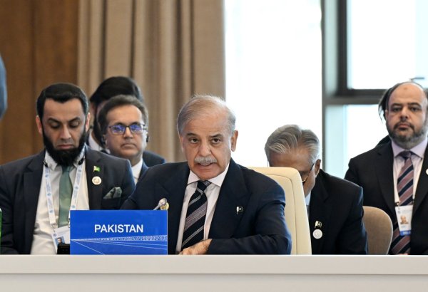 Shehbaz Sharif unveils green agenda: Pakistan backs sustainable development within ECO