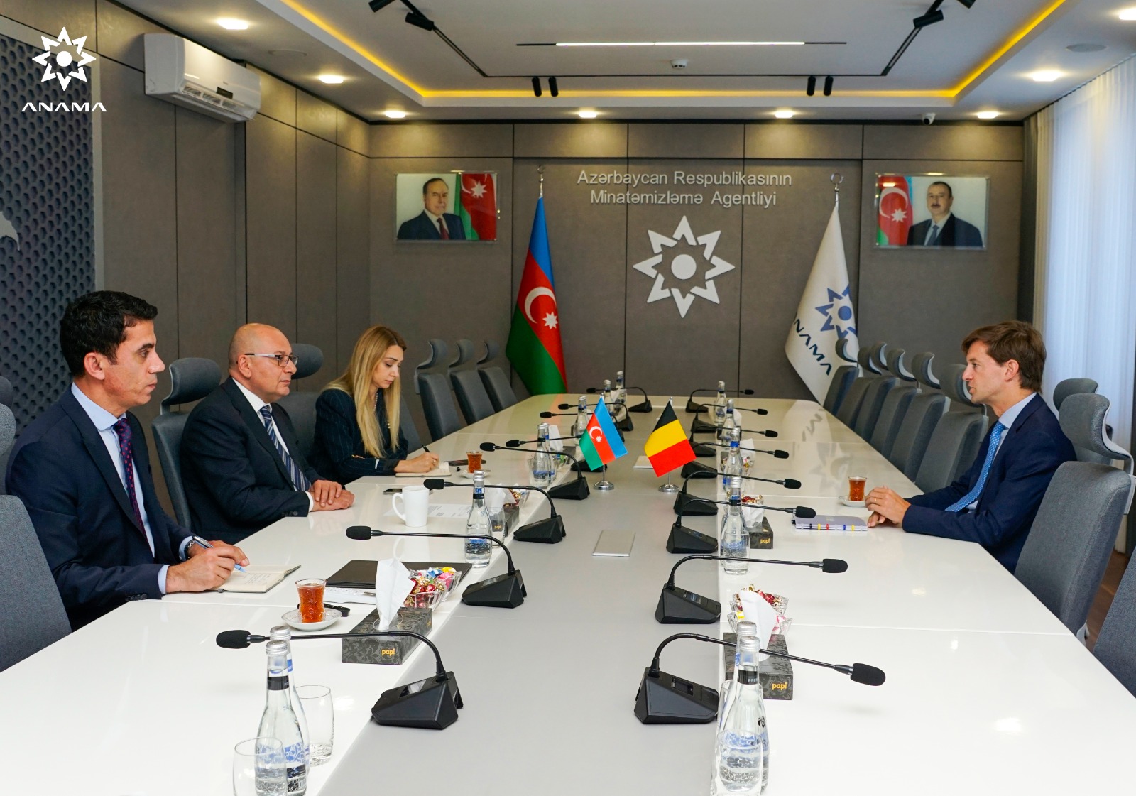 Azerbaijan, Belgium explore prospects for demining cooperation (PHОТО)