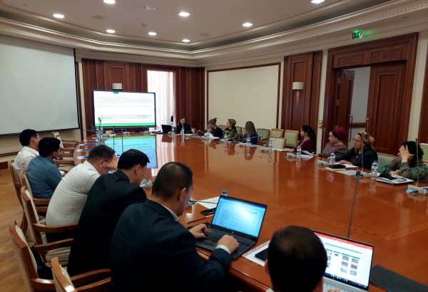 Turkmenistan and UNDP join forces to advance securities market