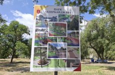Azerbaijani diaspora spotlights important contribution to ties with Ukraine (PHOTO)