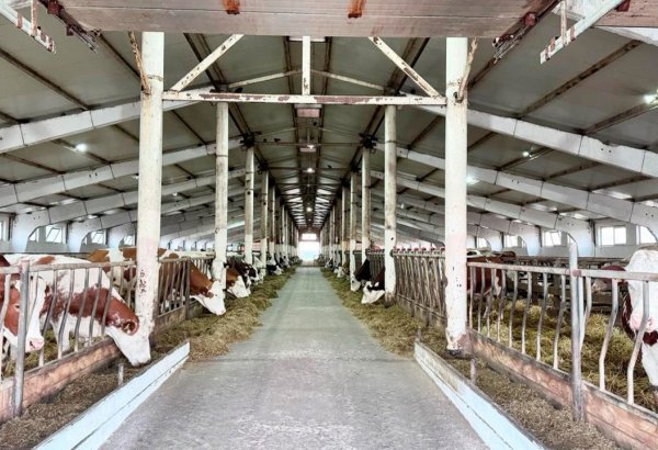 Kazakhstan sets new financial measures to empower farmers