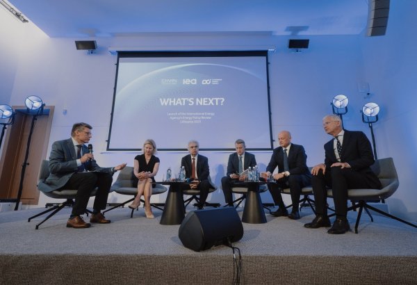 IEA verdicts: Lithuania running path toward sustainable energy goals (VIDEO)