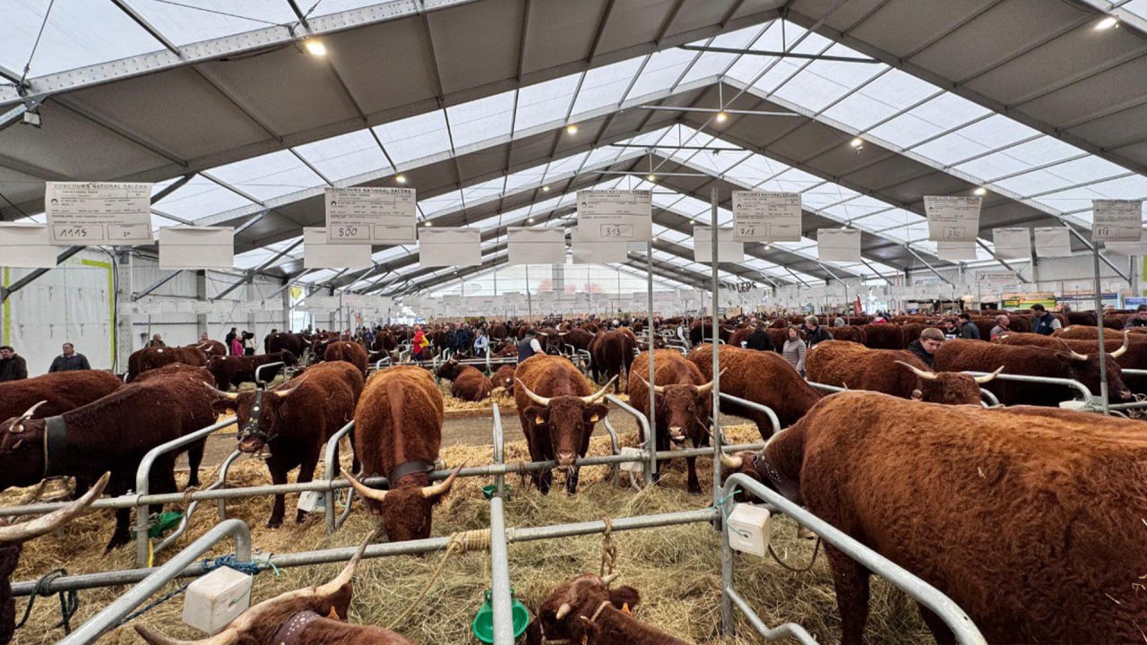 Kazakhstan discloses new investments in its north region’s agricultural sector