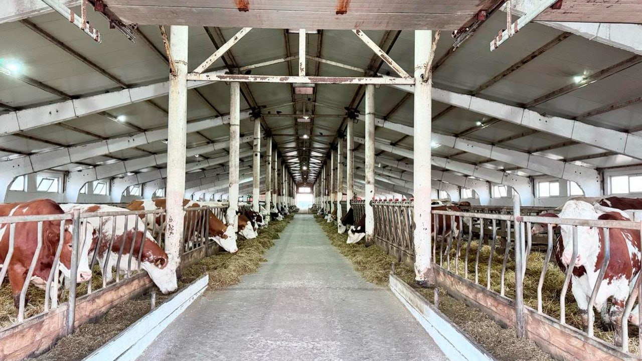 Kazakhstan sets new financial measures to empower farmers