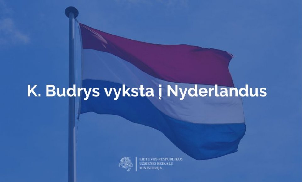 Lithuania, Netherlands rolling up sleeves to deepen political and economic co-op